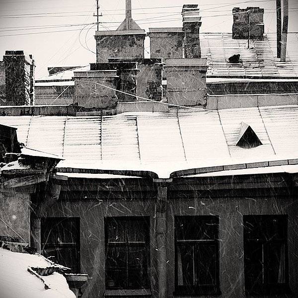 , Дмитрий Плотникофф