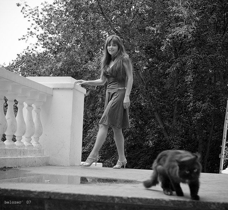 алена, и, кот, черный Ну куда же ты котик! фото превью