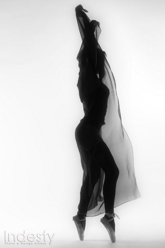 Мрррр фото превью