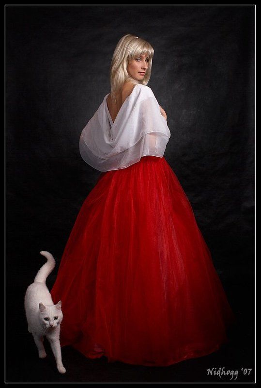 Кошки... фото превью