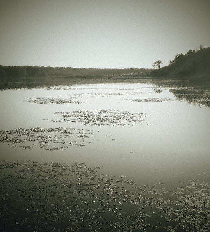 щучье место фото превью