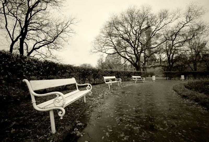 Успеть рассказать про осень. фото превью