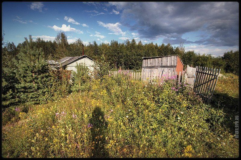 #10 фото превью