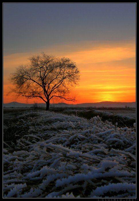 осень, закат, снег, дерево, бурятия, Игорь Глушко