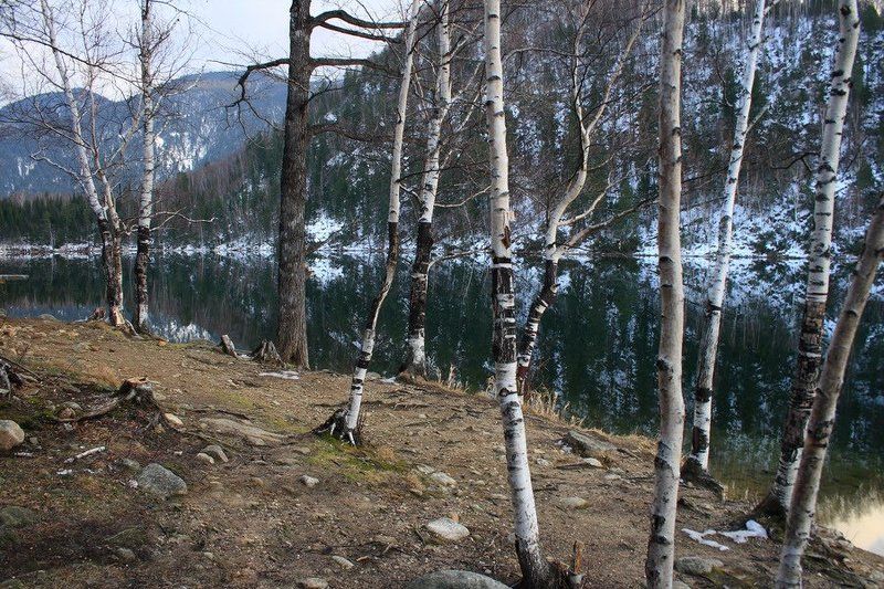 теплые, озера, изумрудное, деревья, отражение Теплые озера фото превью