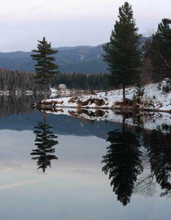 теплые, озера, изумрудное, деревья, отражение, сумерки, Олег Шубаров