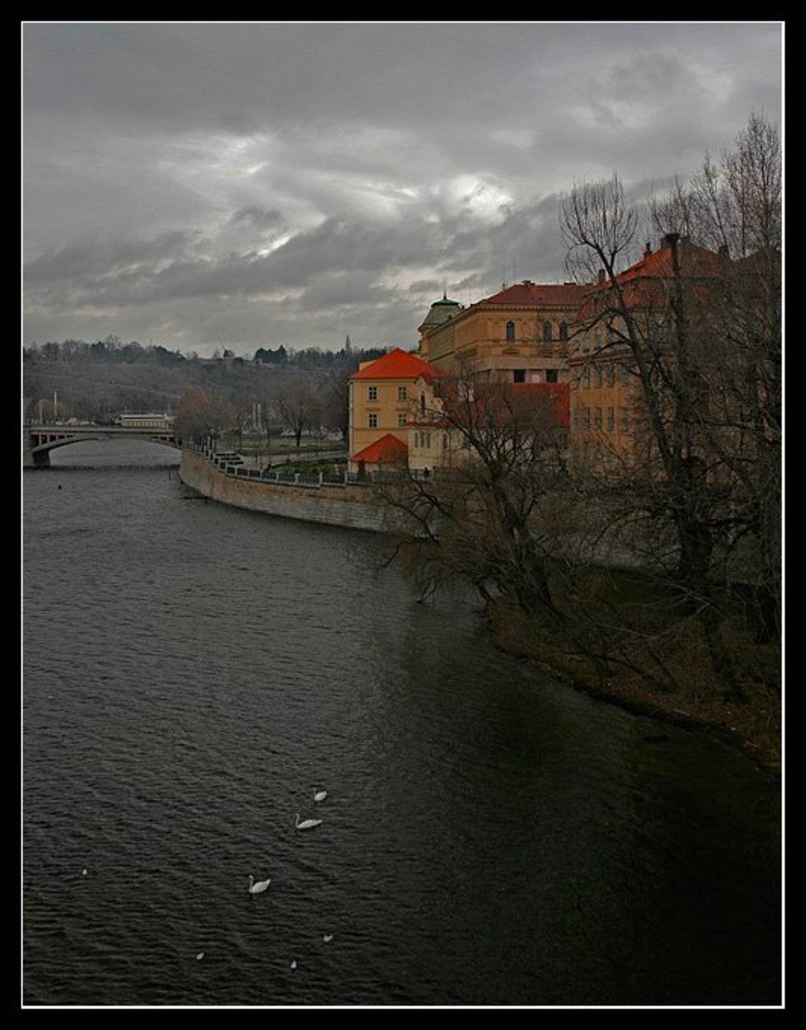 , Никулин Евгений