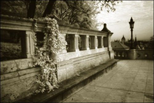 infrared hungary