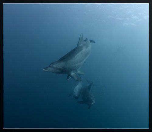 Пары на выход