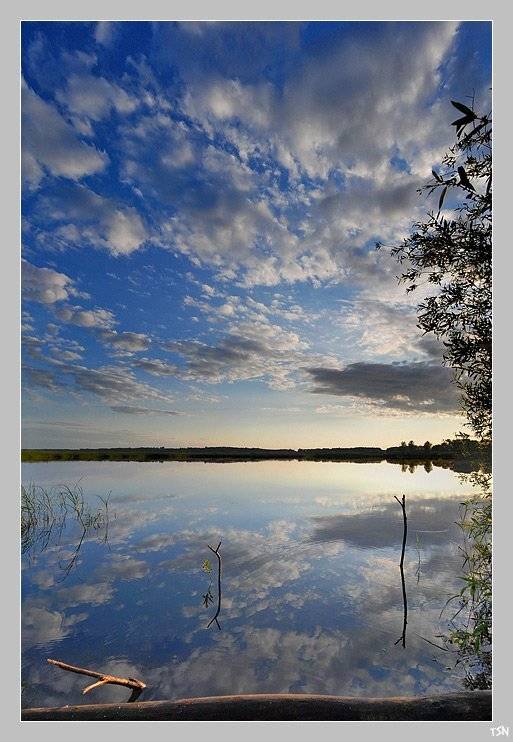 , Сергей Требунских