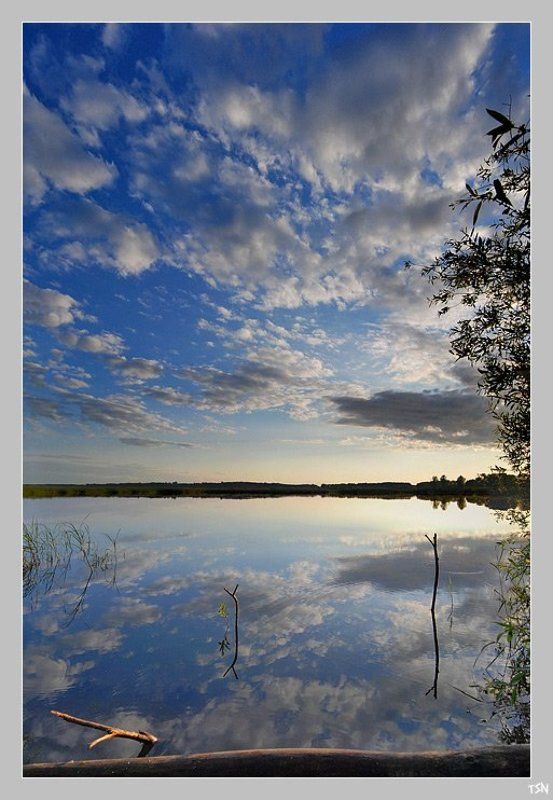 Прозрачность фото превью