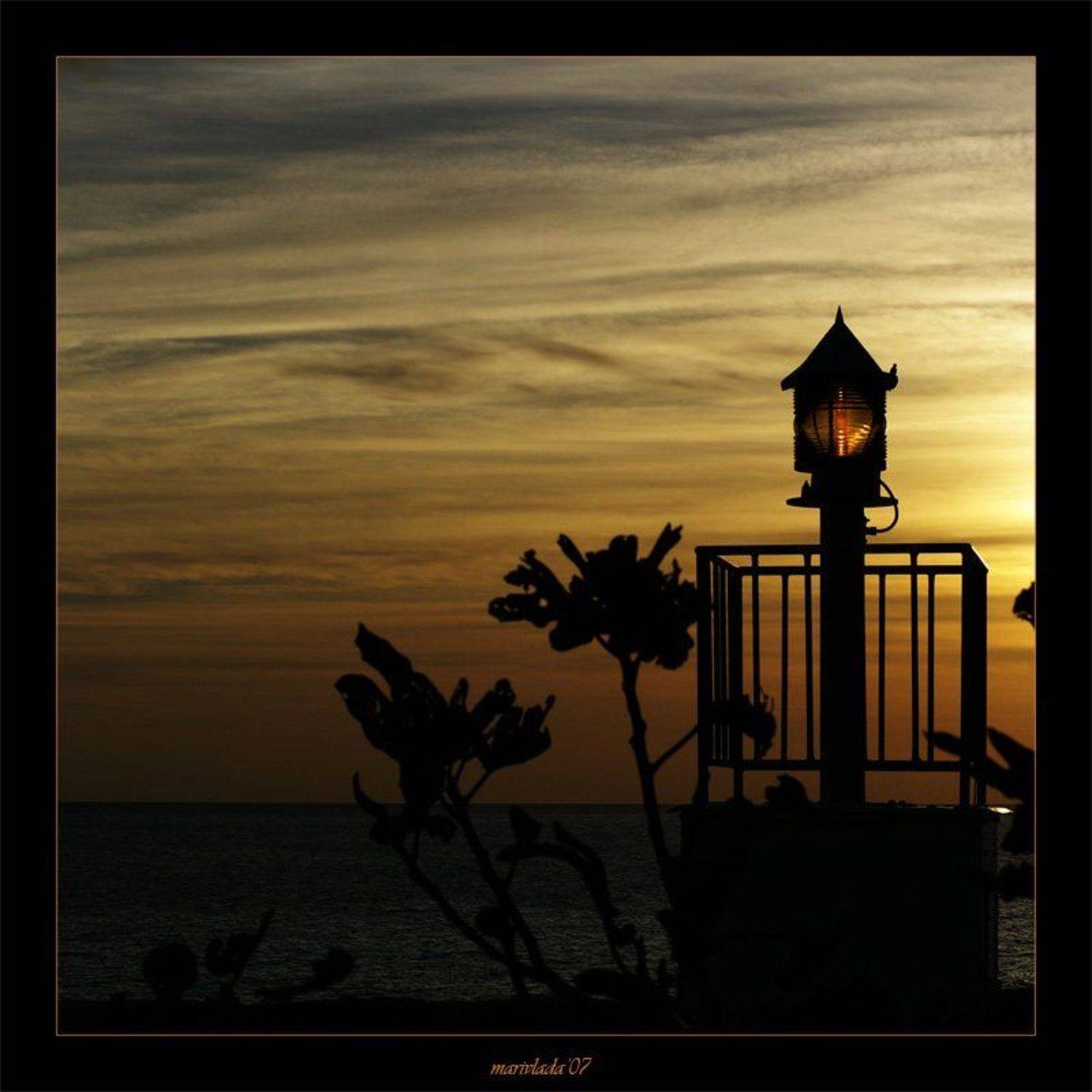 маяк вечер, Марина Машевски