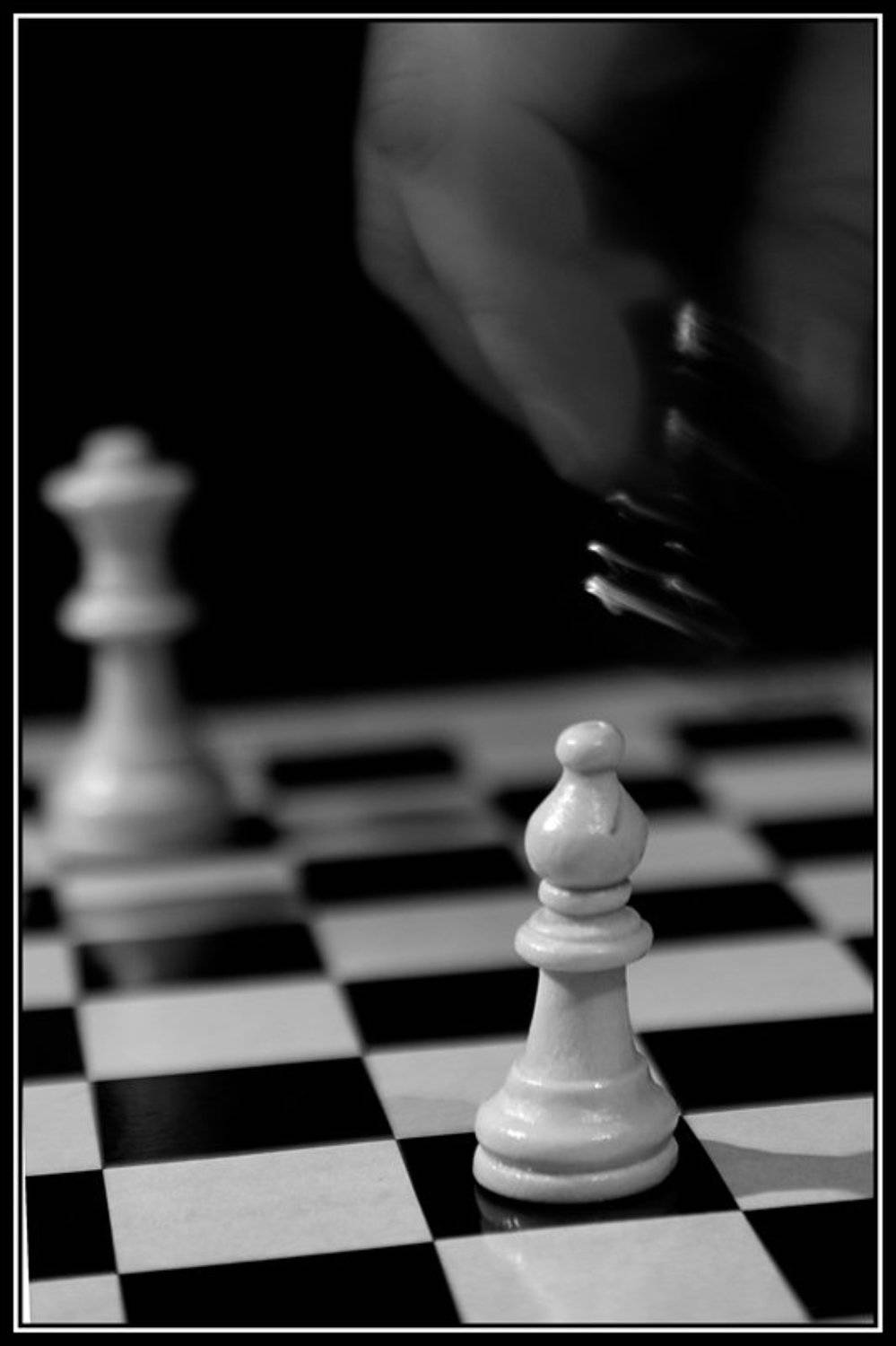 шахматы, Патрикеев Александр