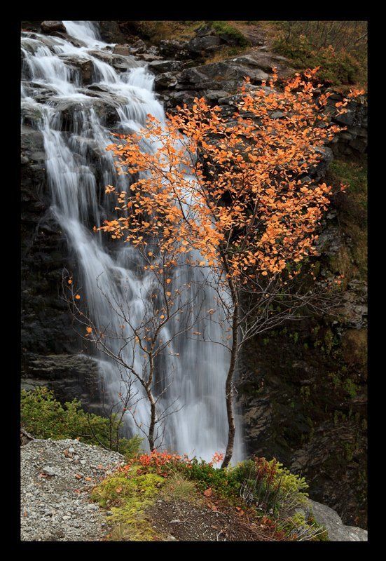 хибины, кольский, осень Хибинские зарисовки фото превью