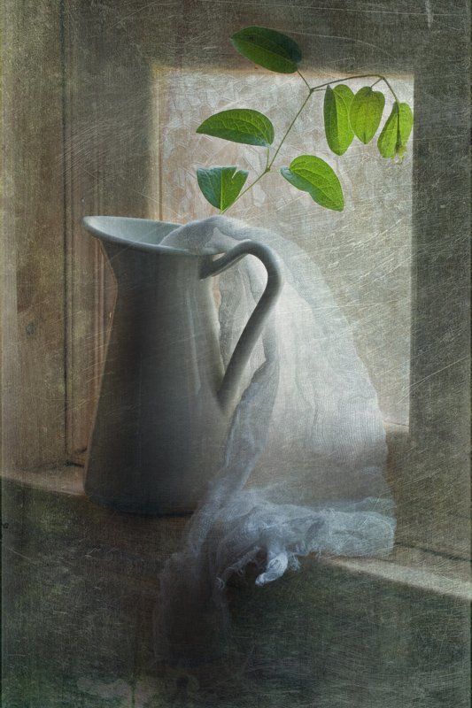 кувшин, ветка, зеленая Простой фото превью