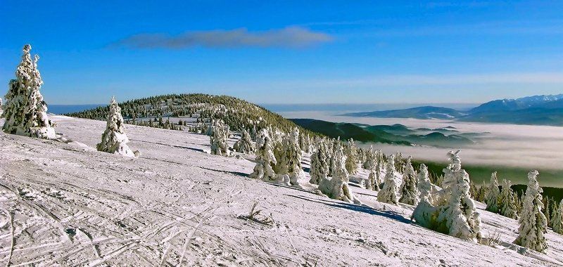 горы, зима, татры Орава (вариант) фото превью