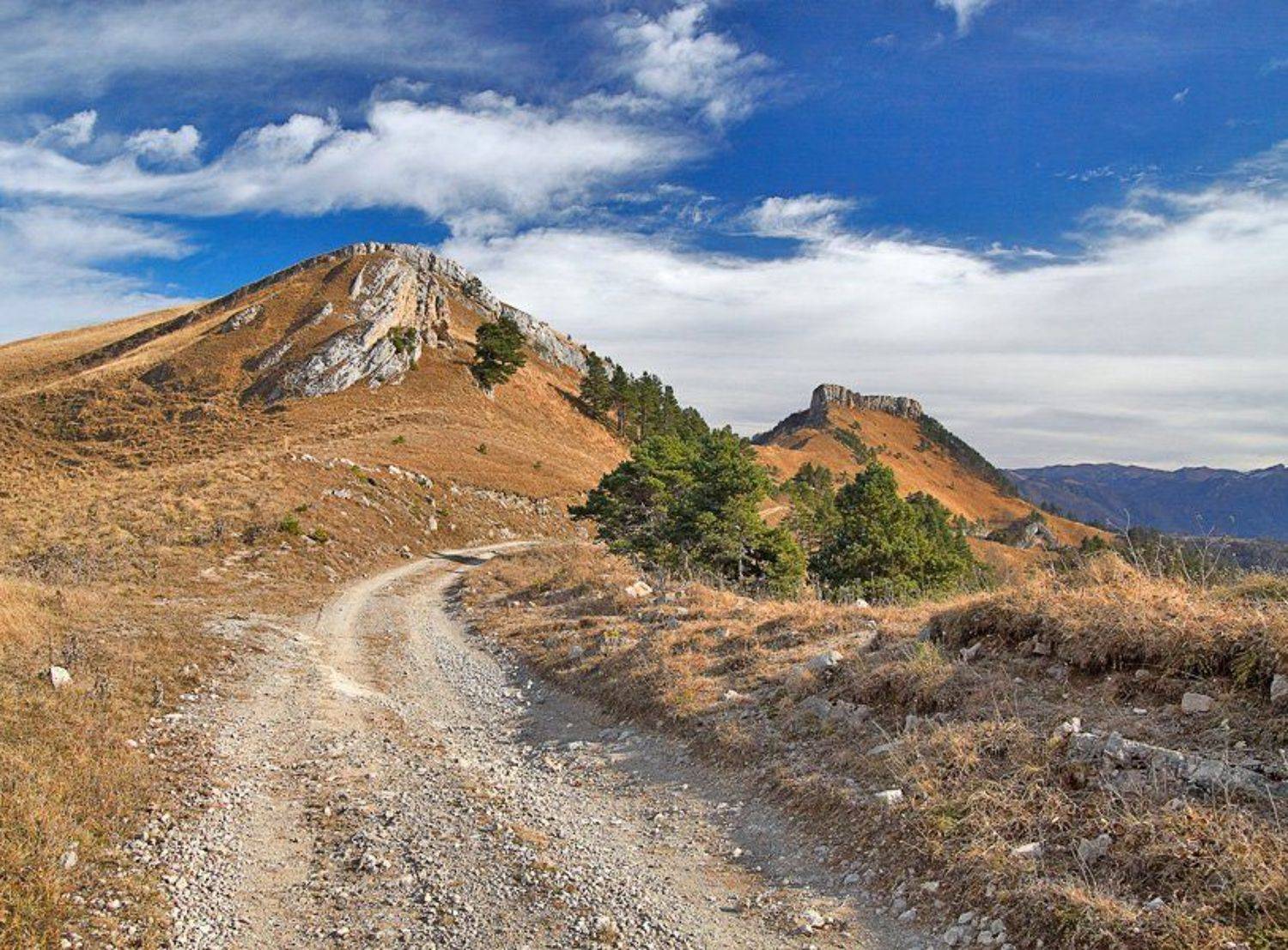 , Синицкий Виталий