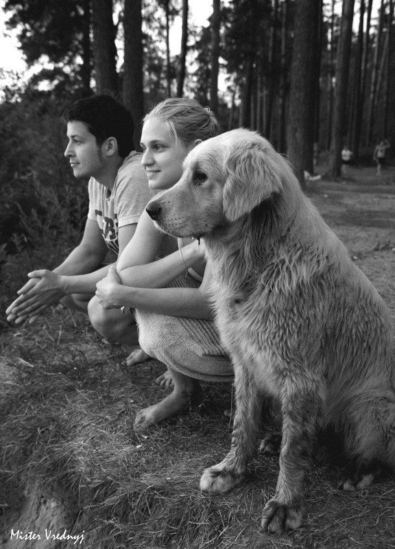 botunov три товарища не считая фотографа фото превью