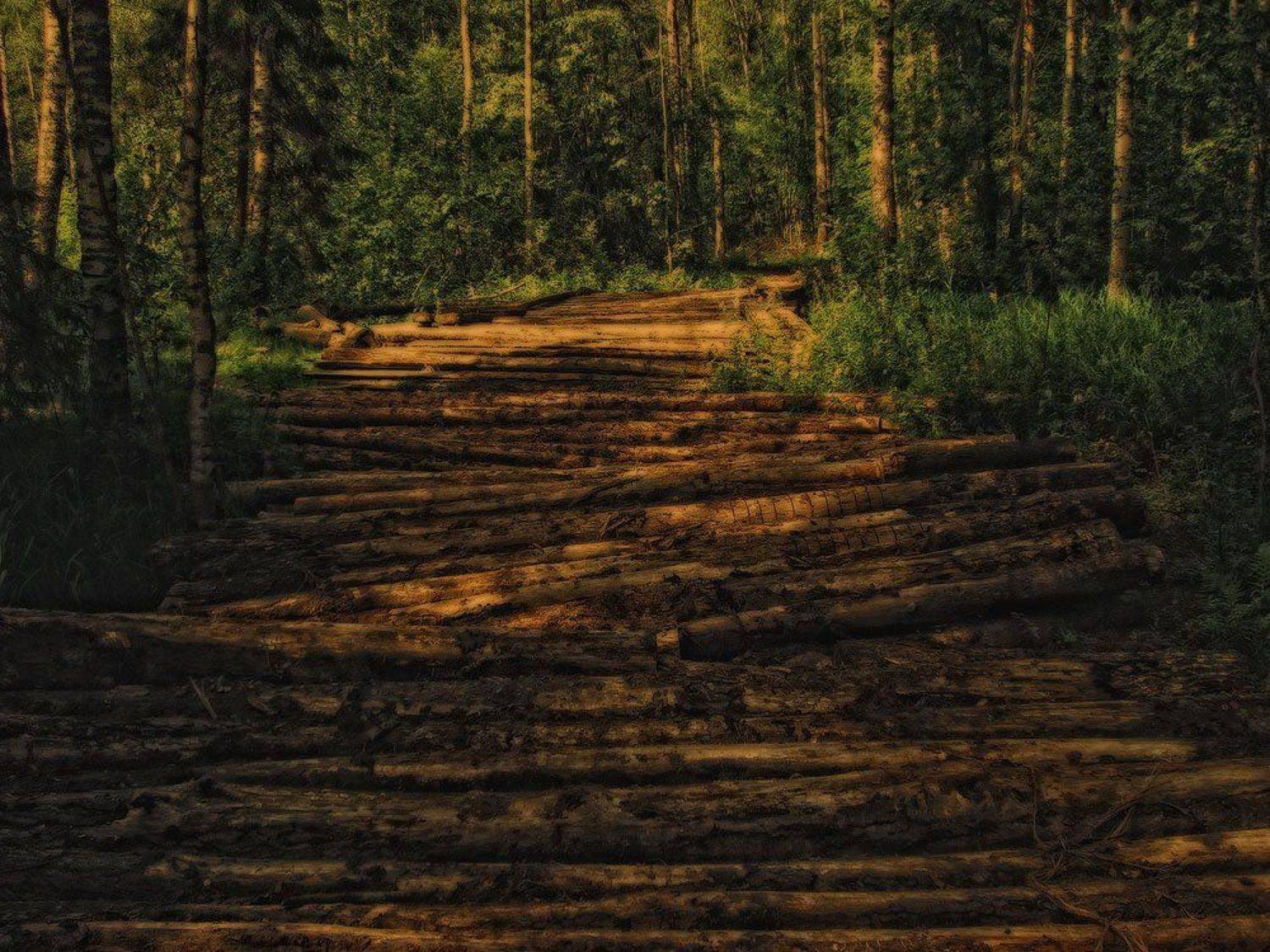 , Александр Миронов