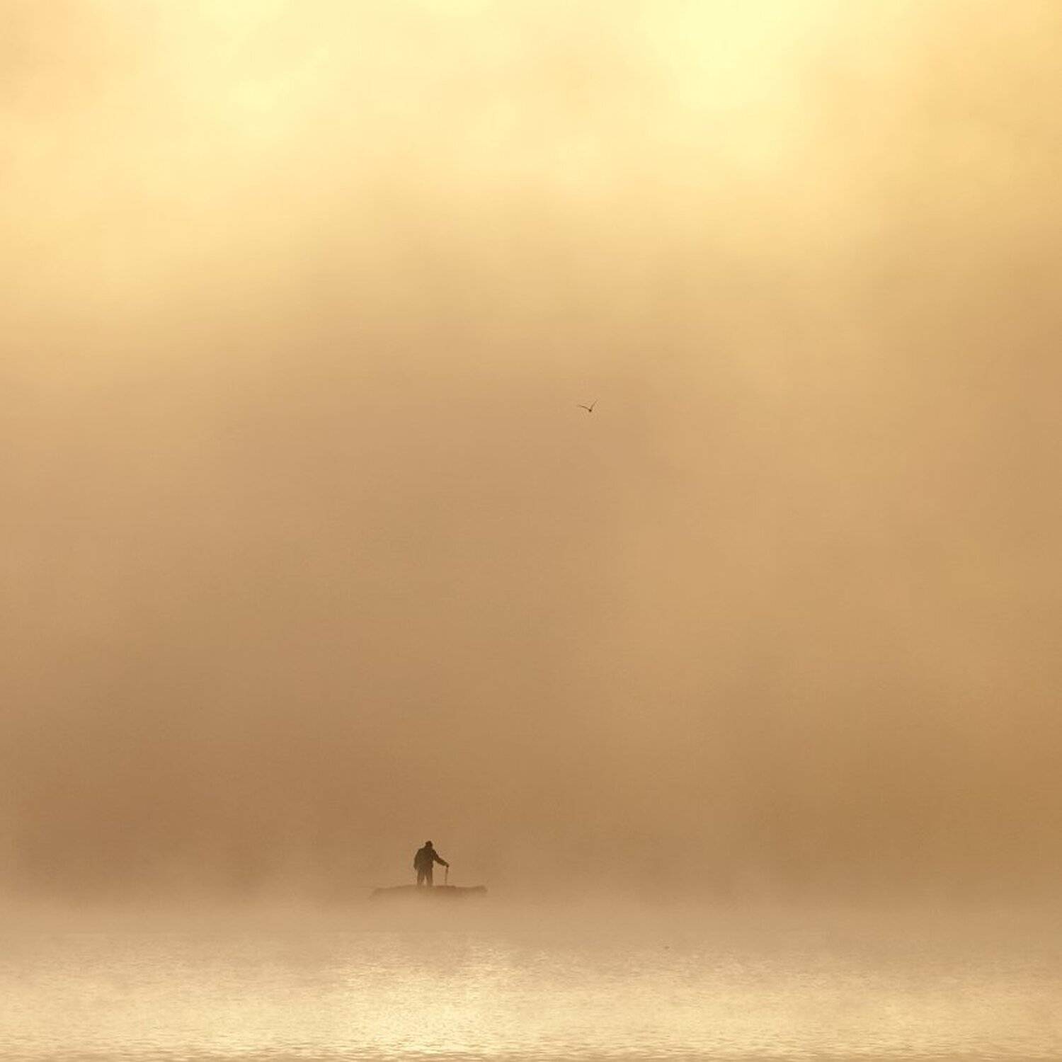 , Максим Евдокимов