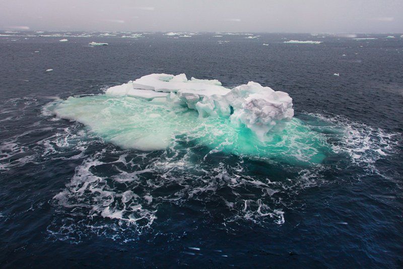 ...И ЧТО ЗА МОНСТР ЗА БОРТОМ фото превью