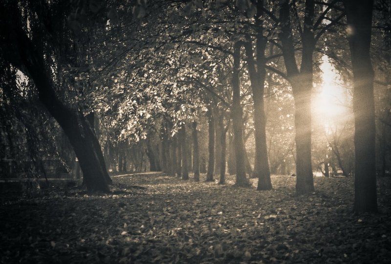 *** фото превью