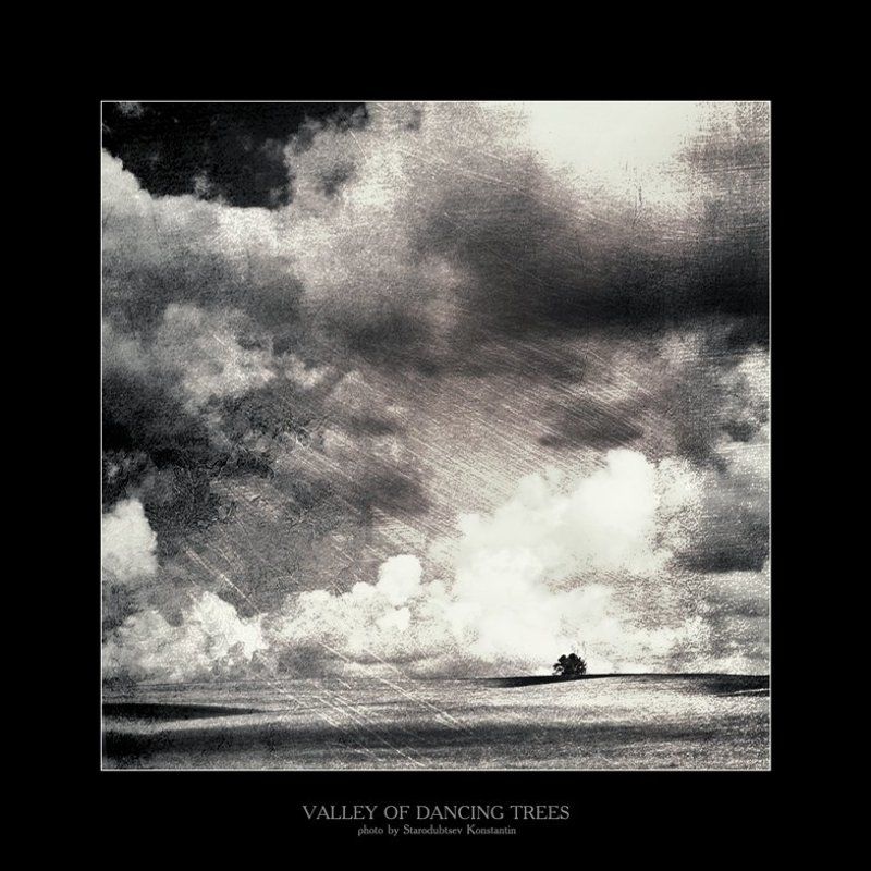 Valley of dancing trees... 8 фото превью