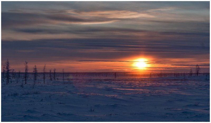 Тундра .однако... фото превью