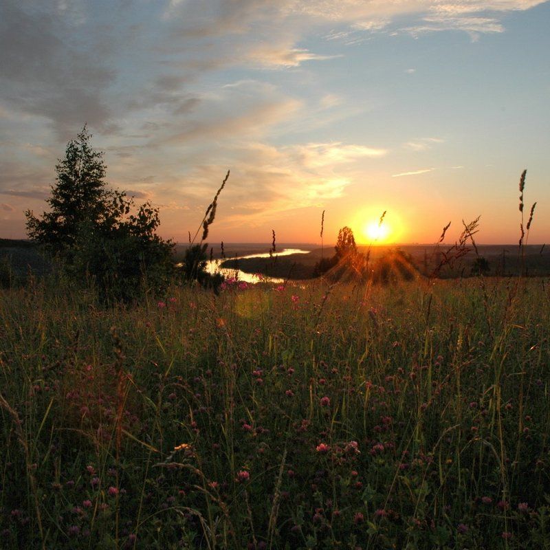 *** фото превью