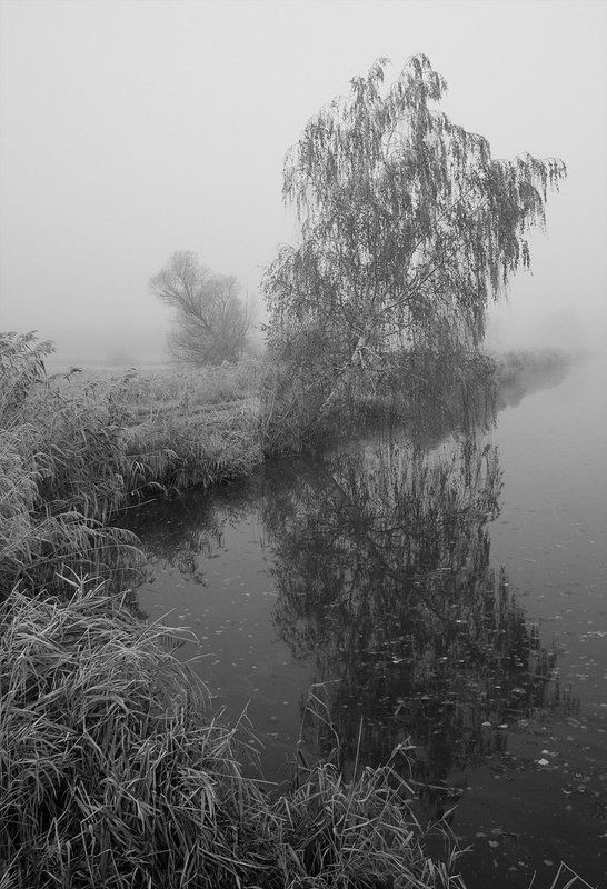 Собой любуясь фото превью