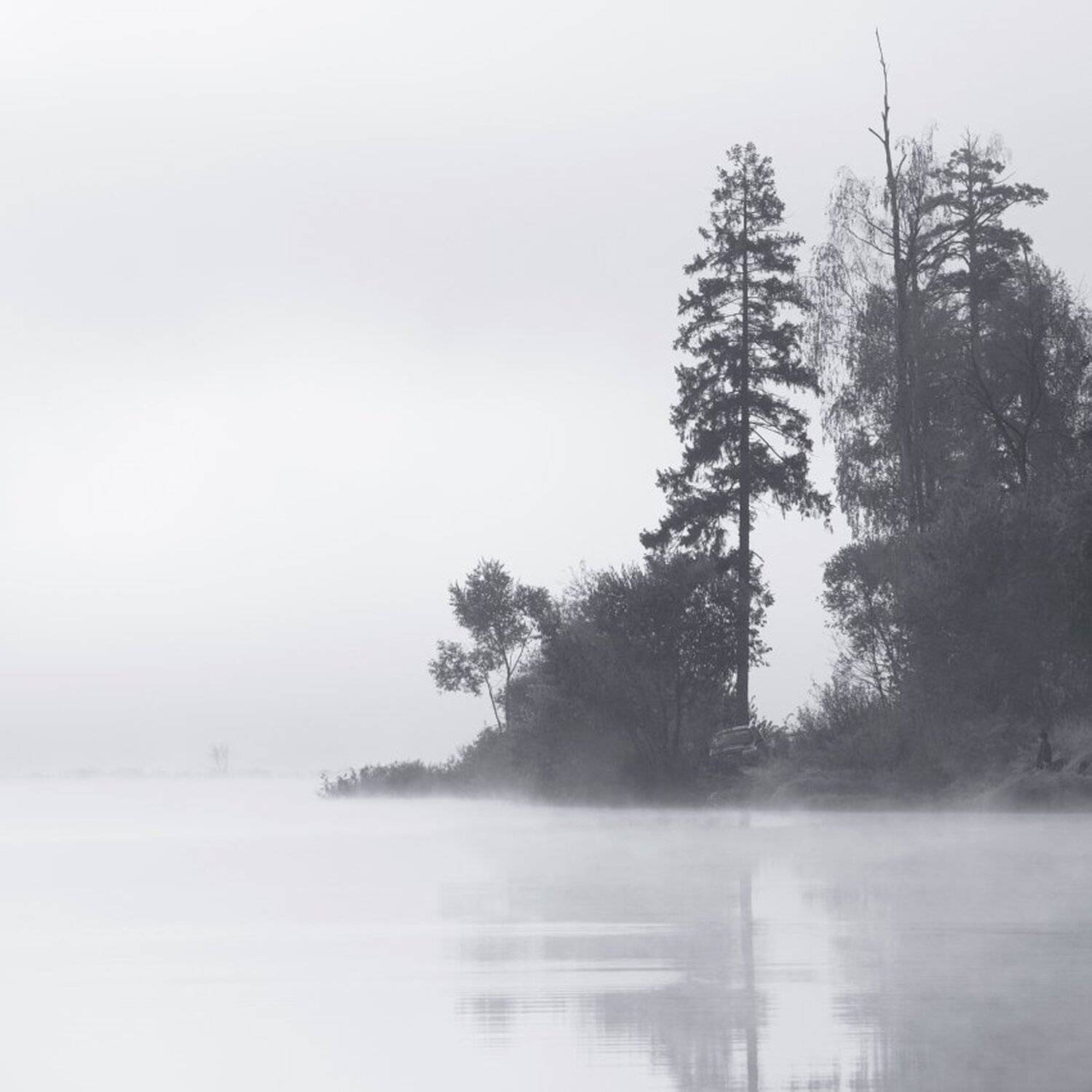 , Максим Евдокимов