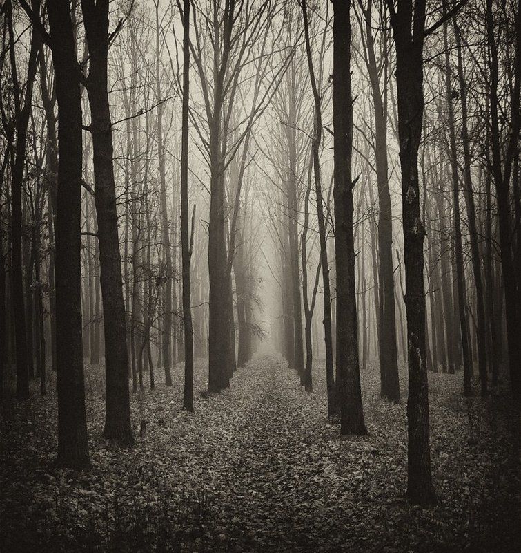 . . . фото превью