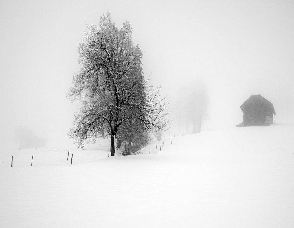 интерлакен,швейцария, Матвеев Николай