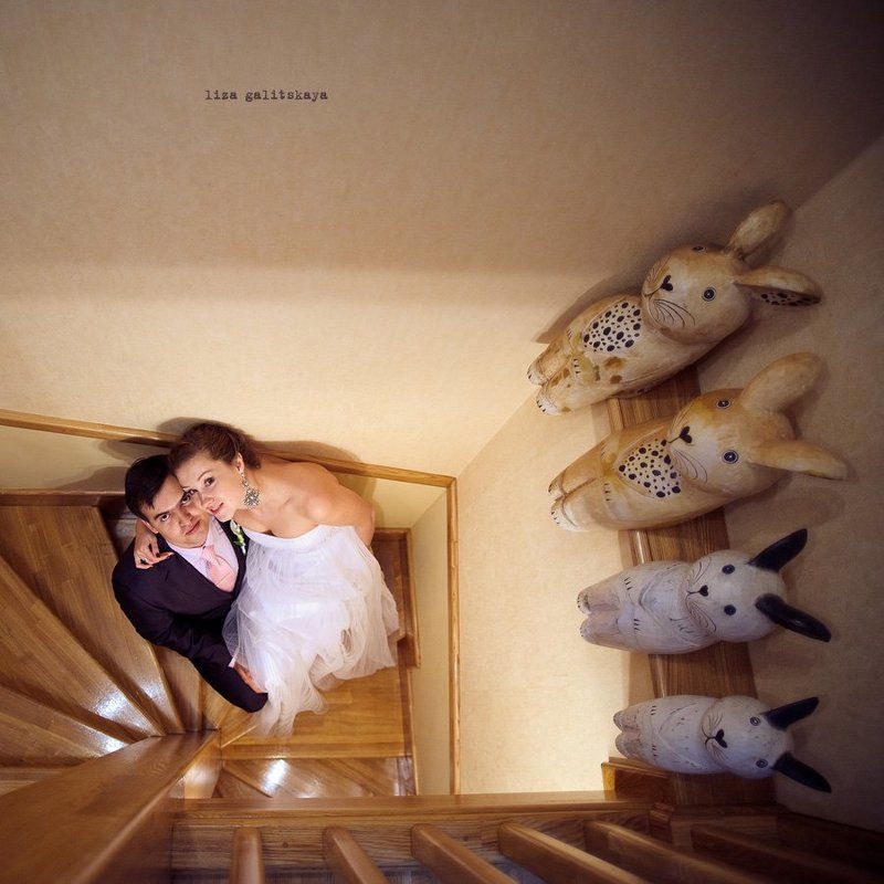 кролики фото превью