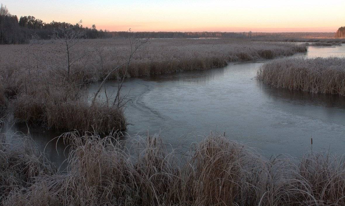 река,лед,камыши, Дмитрий Алексеев