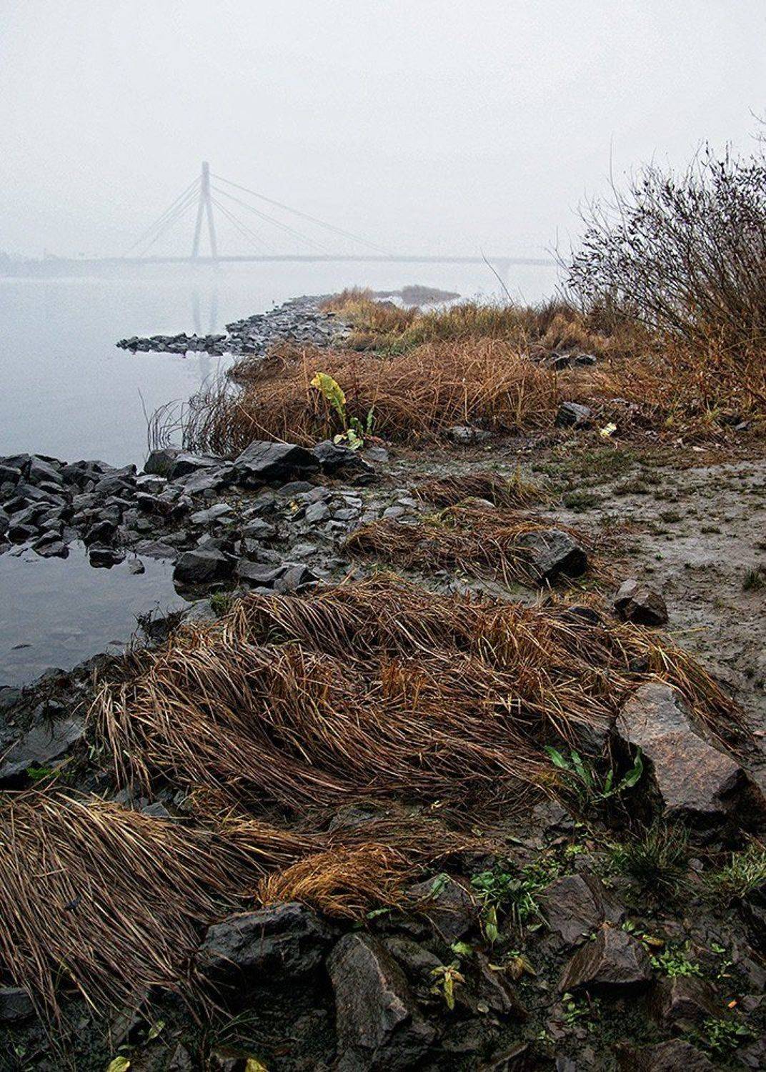 пейзаж, Tina Grach