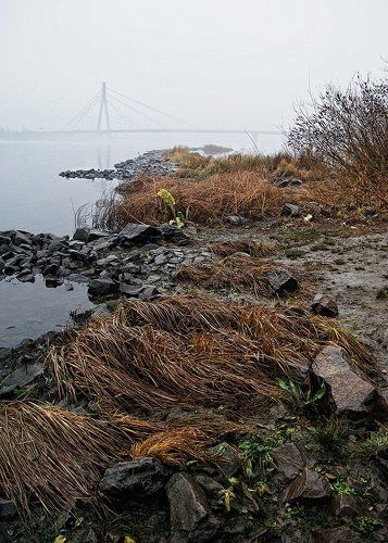 Туманный берег