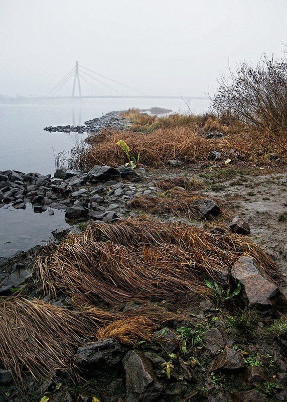 пейзаж Туманный берег фото превью