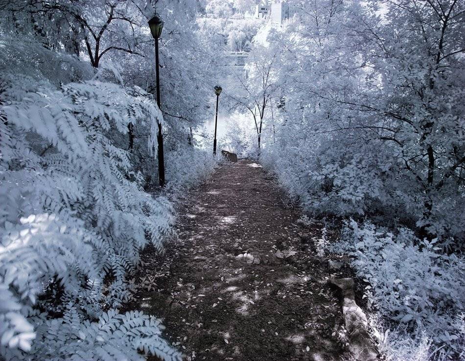 , Александр