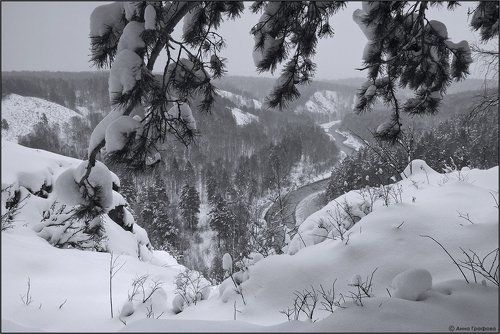 Сибирь матушка