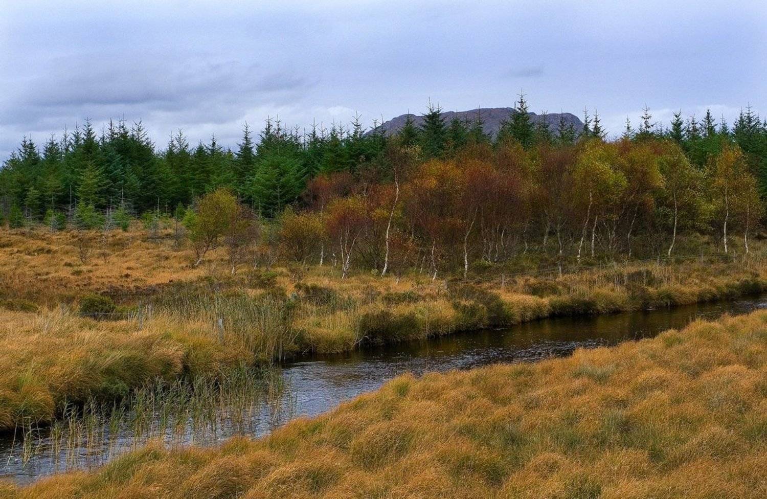 болото, осень, коннемара, ирландия, Екатерина Богданова