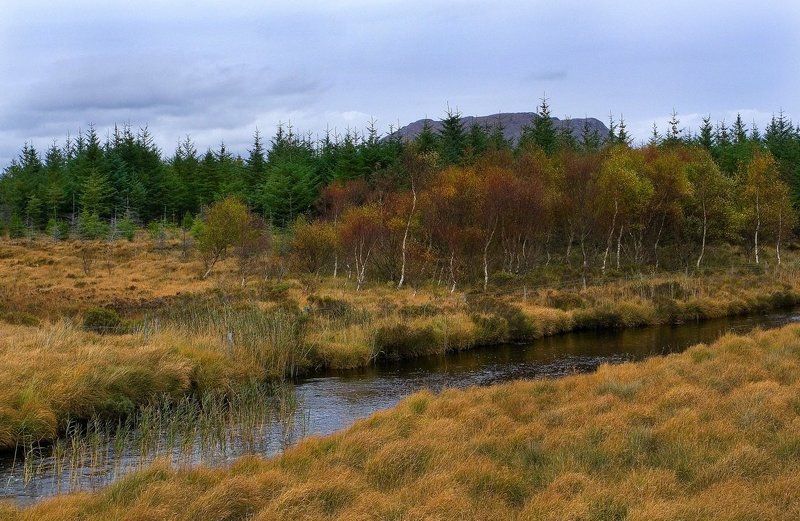 болото, осень, коннемара, ирландия Болота Коннемары фото превью