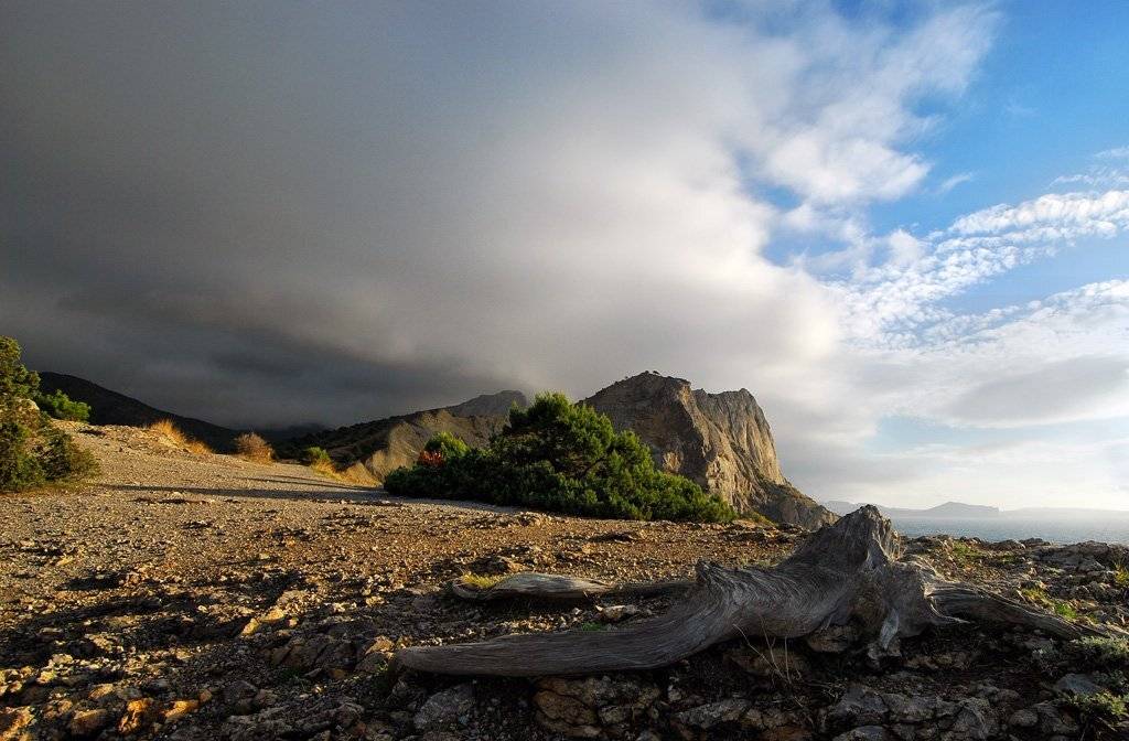 крым, Татьяна Аверина