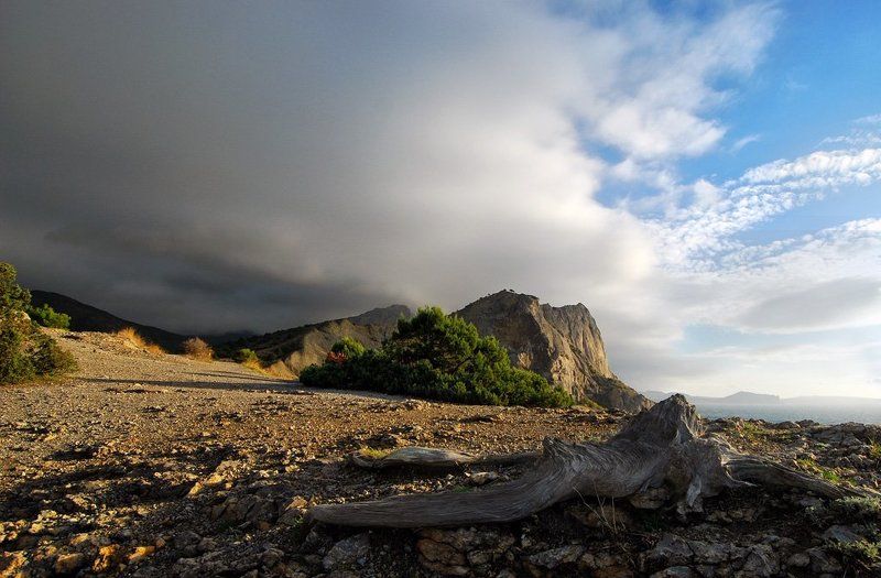 крым Новый Свет.Крым фото превью