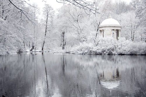 О белой жемчужине и черной воде.