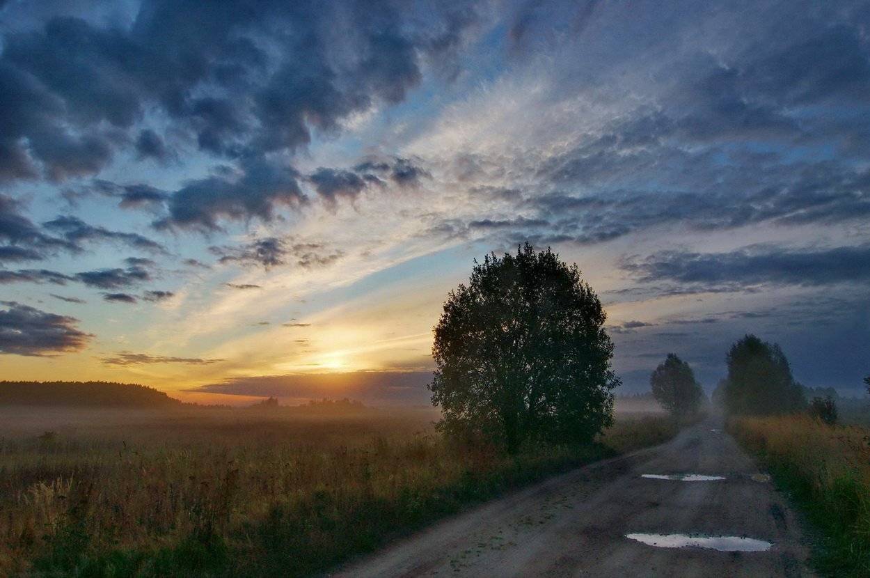утро, рассвет, дорога, Людмила Прокофьева