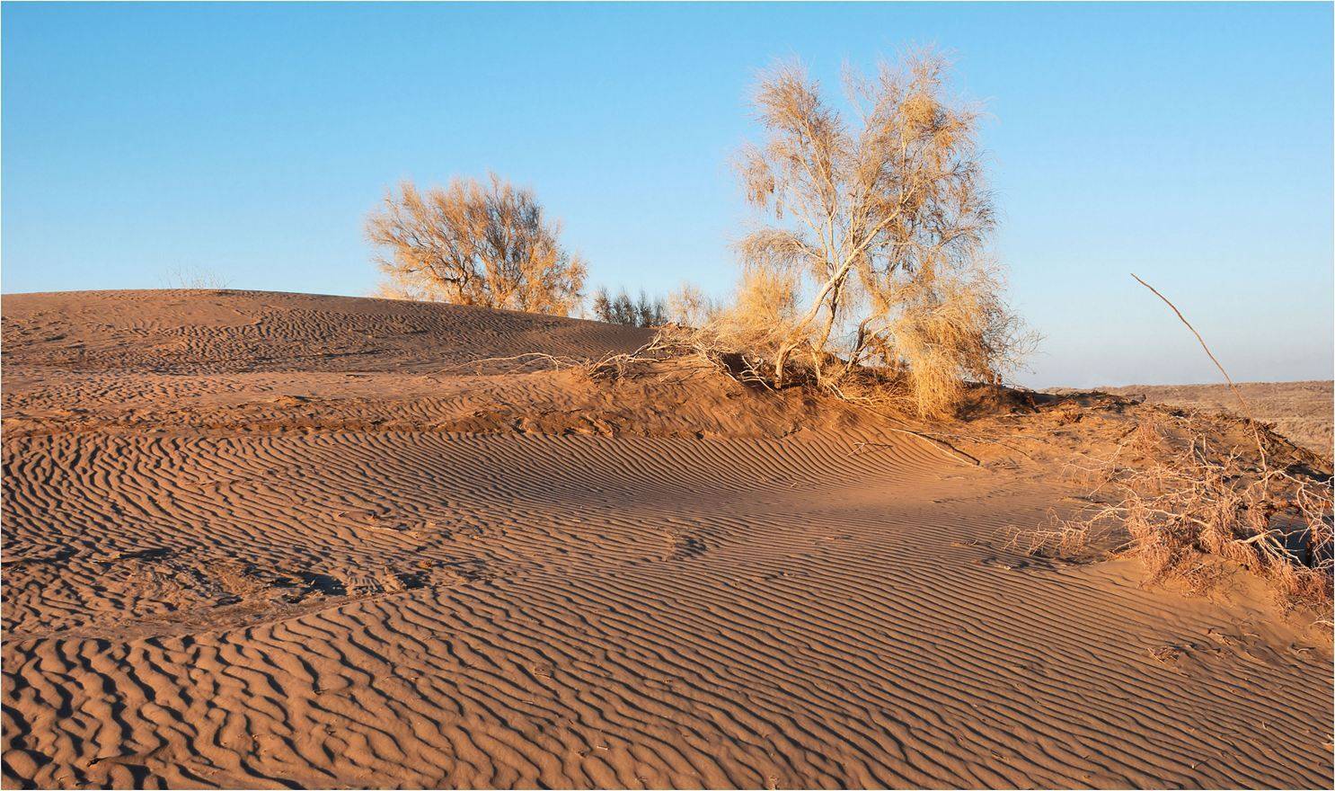 природа, Геннадий Меремьянин