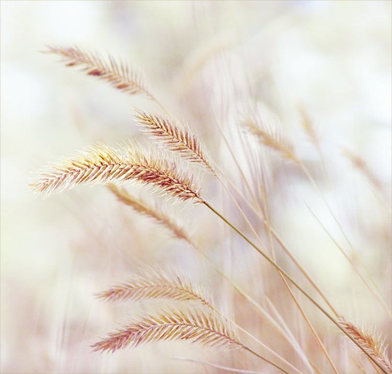 лето унеслось... фото превью