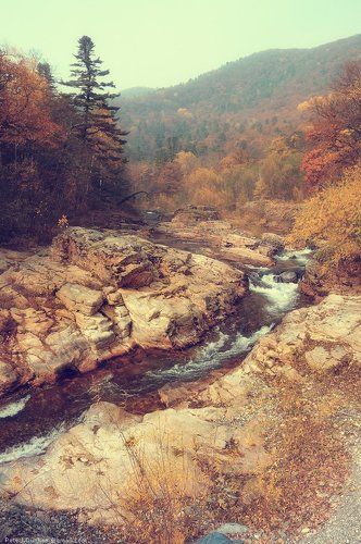 Таёжная речная ll