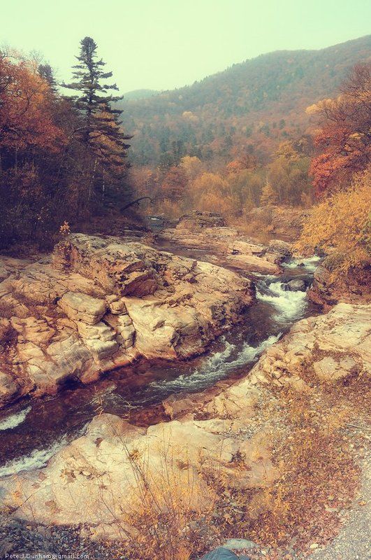 река, ван-чин, милоградовка, приморье, сихотэ-алинь, тайга, лес, осень, дымка, пелена, каньон, скалы, ущелье, пороги, горная Таёжная речная ll фото превью